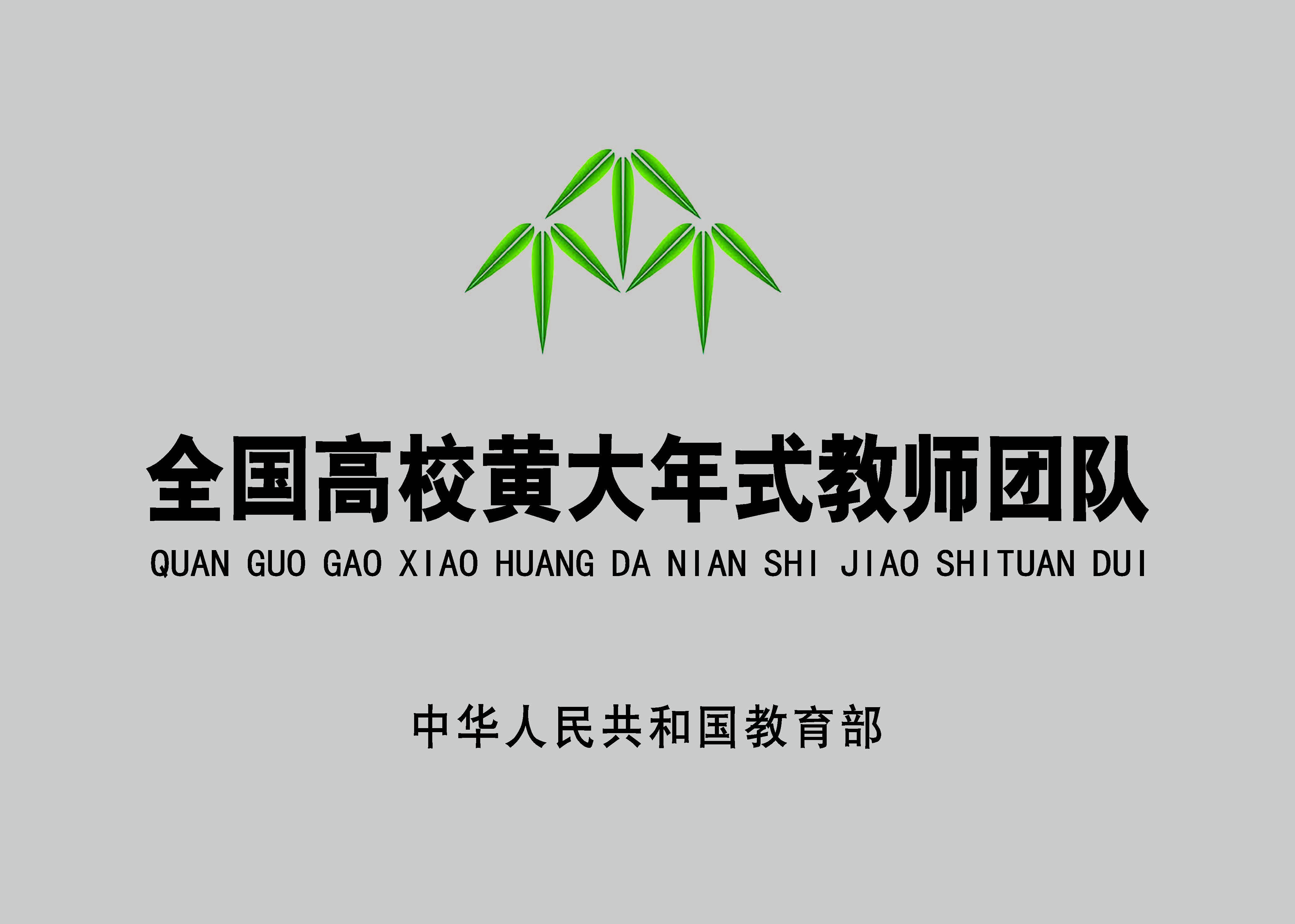 全国高校黄大年式教师团队